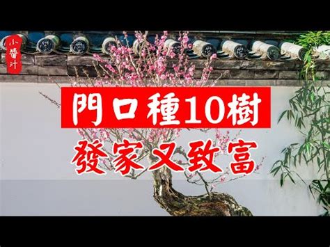 門口招財|門口招財植物攻略：種啥旺財，讓錢財滾滾來！ 